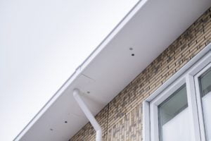 BAM Wonen treft bij projecten voorzieningen voor vogels en vleermuizen.