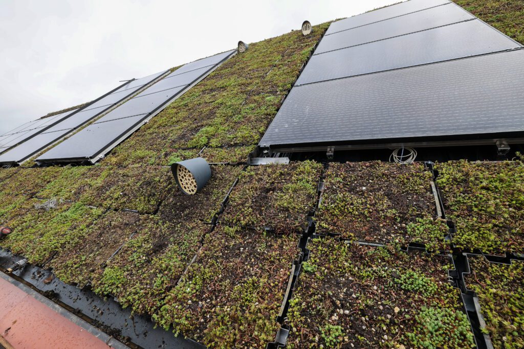 ROEF-circulair-groen-pv-dak