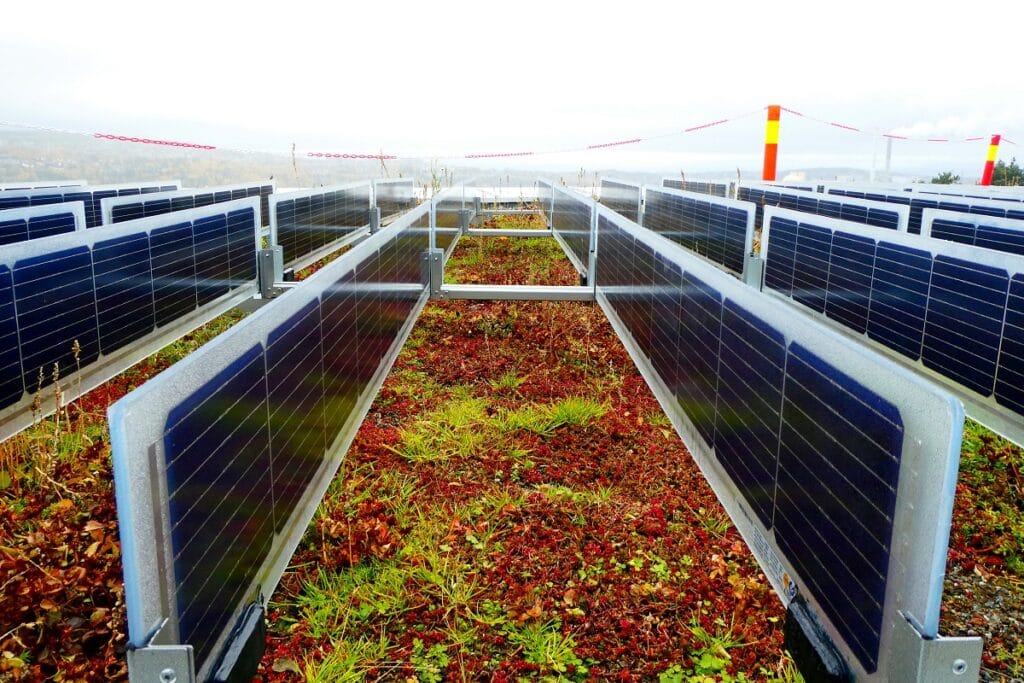 bifacial zonnepanelen