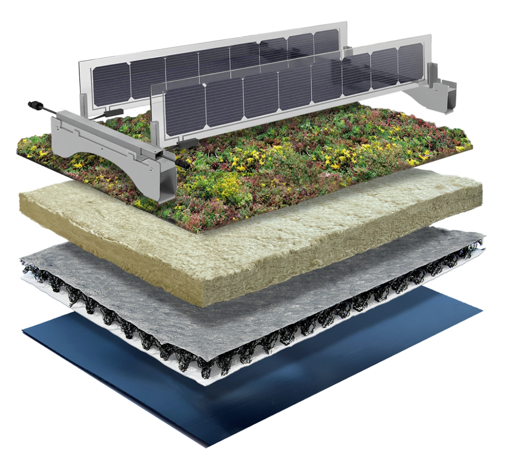 bifacial zonnepanelen
